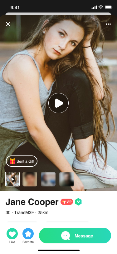 Translr offline mode